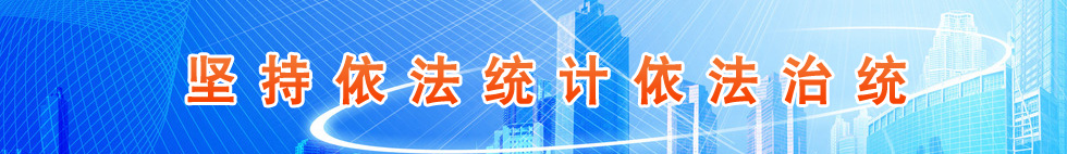 堅持依法統計依法治統