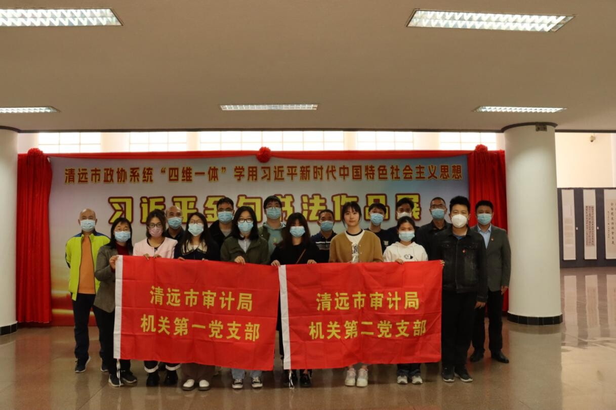 2.清遠(yuǎn)市審計(jì)局組織開展“觀展覽、悟思想、踐行動(dòng)”主題黨日活動(dòng)_2