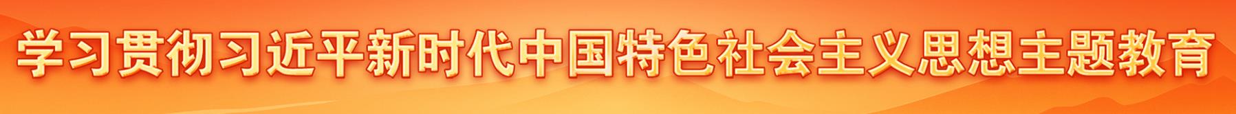 學(xué)習(xí)貫徹習(xí)近平新時(shí)代中國特色社會主義思想主題教育