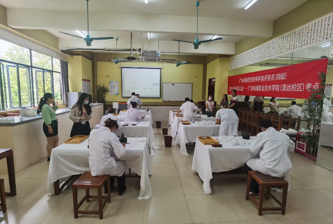 廣東嶺南現代技師學院評茶員.jpg