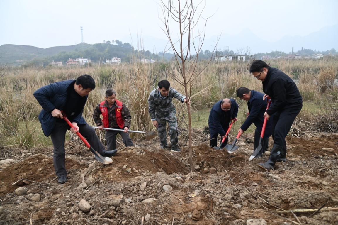 兵“林”城下 退役軍人走在綠美清遠生態建設“第一方陣”，萬株新苗筑牢粵北生態屏障